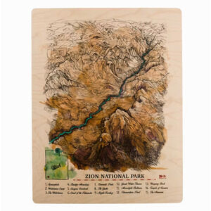 Jeremy Collins Signed Meridian Line Zion National Park Utah Wood Wall Art RARE